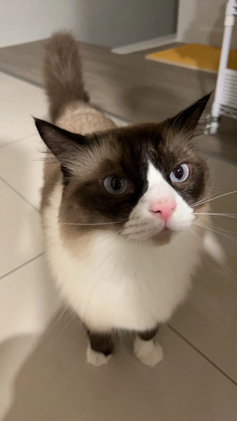 搜尋測試-GbzLAJHY-Rv6ibNATPQ79BY